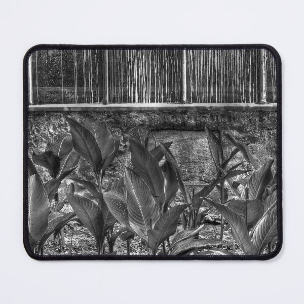 Item preview, Garden designed and sold by Jean-François Dupuis.