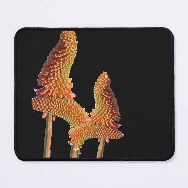 Item preview, Baby Hot Pokers designed and sold by KazM.