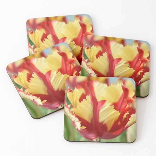 Item preview, Tulipa 'Flaming Parrot' Parrot Group Tulip designed and sold by Chris Burrows.