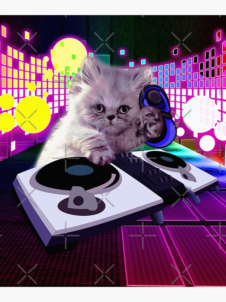 "DJ Scratch Cat " Poster by hiphopart Redbubble