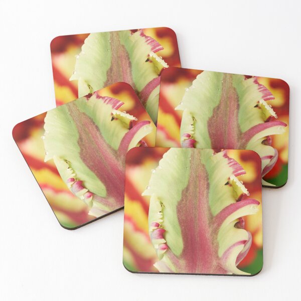 Item preview, Tulipa 'Flaming Parrot' Parrot Group Tulip designed and sold by Chris Burrows.