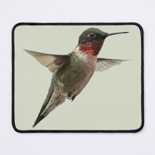Item preview, Ruby-Throated Hummingbird designed and sold by baegel.