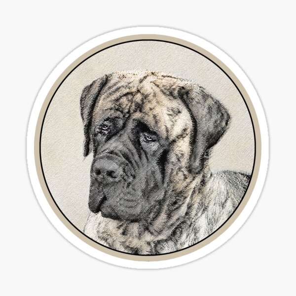 English Mastiff (Brindle) Sticker