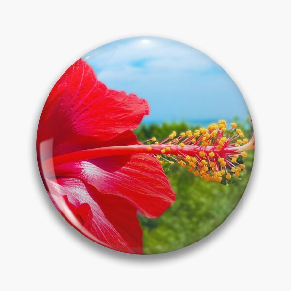 Item preview, Red Flower Photograph at the beach designed and sold by dddesignsnj.