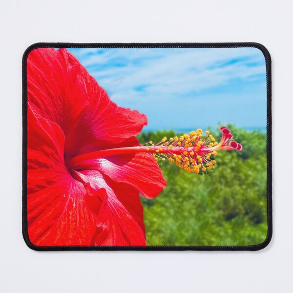 Item preview, Red Flower Photograph at the beach designed and sold by dddesignsnj.