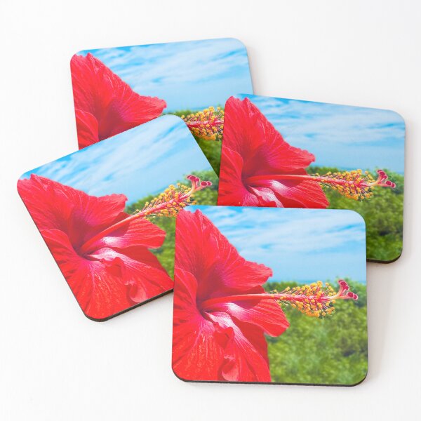 Item preview, Red Flower Photograph at the beach designed and sold by dddesignsnj.