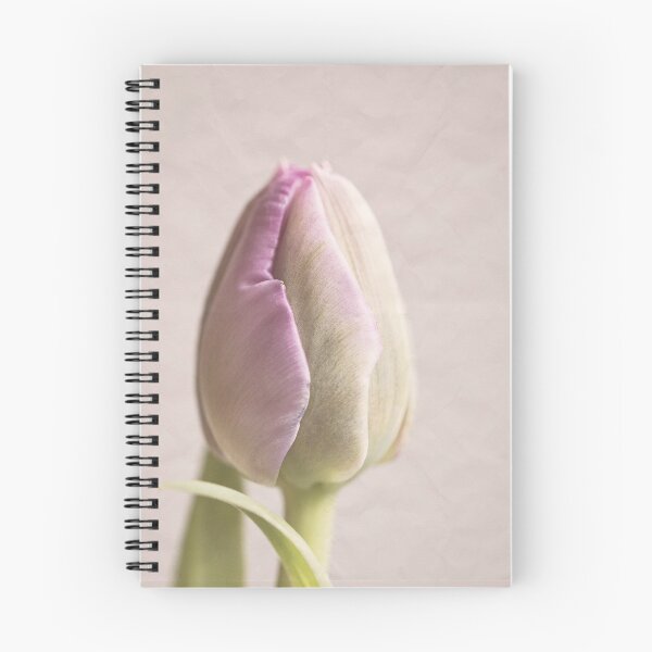 Aperçu de l'œuvre Tulipe Vintage Violet créée et vendue par Gbenonys Art.