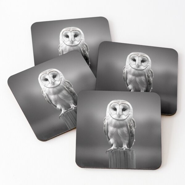 Item preview, Barn Owl - Black and White designed and sold by KootenayDesigns.