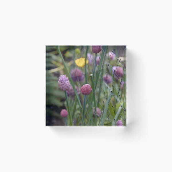 Item preview, Chives Growing by a Fence designed and sold by couragesings.