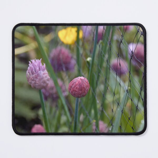Item preview, Chives Growing by a Fence designed and sold by couragesings.
