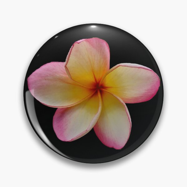 Item preview, Plumeria bloom pink cheeks designed and sold by FlossOrFi.