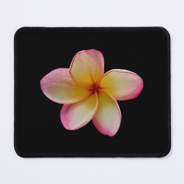 Item preview, Plumeria bloom pink cheeks designed and sold by FlossOrFi.