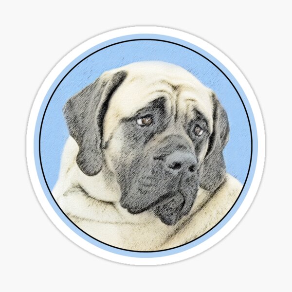 english mastiff stuff