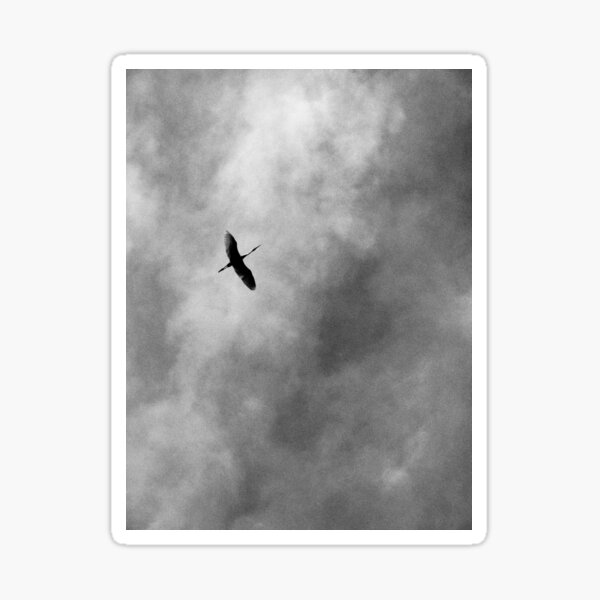Item preview, Flight designed and sold by swan2sky.