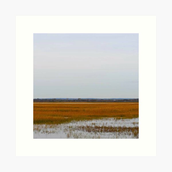 Item preview, Marsh landscape designed and sold by Joanie275.