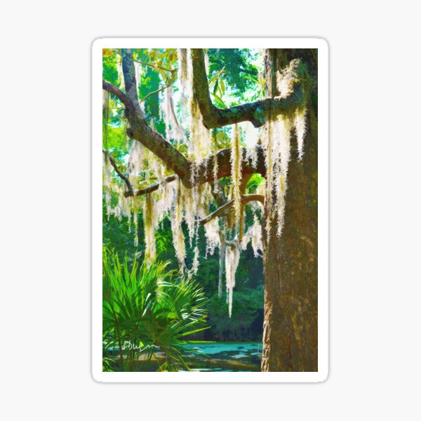 Item preview, Tree with Spanish moss designed and sold by Joanie275.
