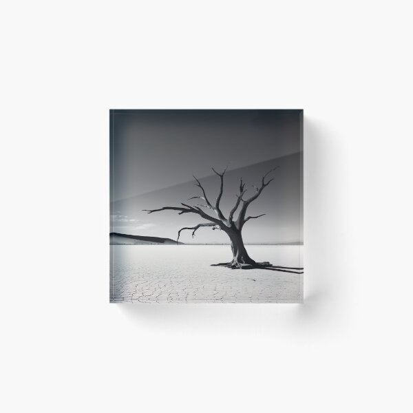 Item preview, Deadvlei - Black and White designed and sold by KootenayDesigns.