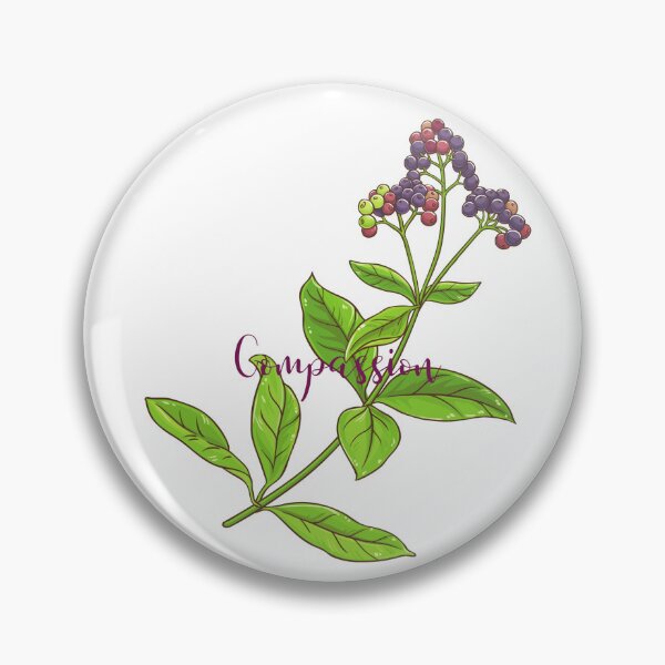 Item preview, Allspice is Compassion designed and sold by RainsQuillMask.