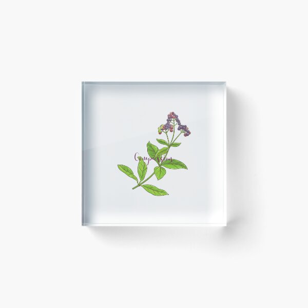 Item preview, Allspice is Compassion designed and sold by RainsQuillMask.