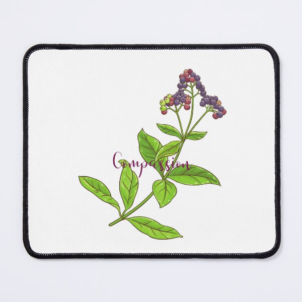 Item preview, Allspice is Compassion designed and sold by RainsQuillMask.