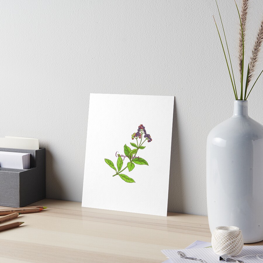 Item preview, Art Board Print designed and sold by RainsQuillMask.