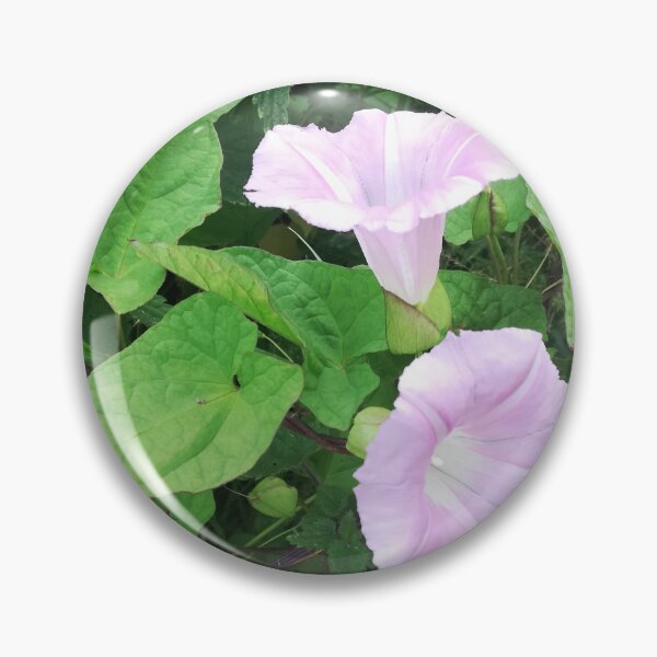 Item preview, Fotografía de flores de enredadera silvestre de color rosa pálido designed and sold by esvb.