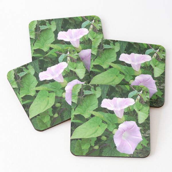 Item preview, Fotografía de flores de enredadera silvestre de color rosa pálido designed and sold by esvb.