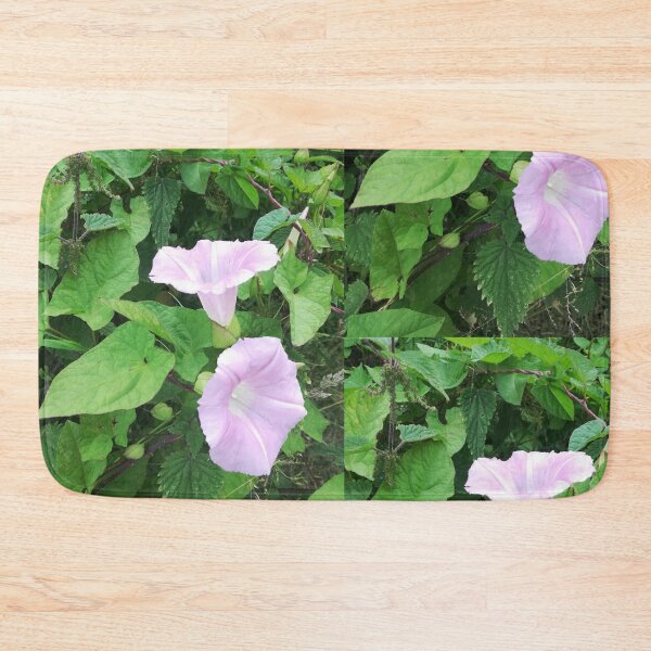 Item preview, Pale pink wild bindweed blossoms photograph  designed and sold by esvb.
