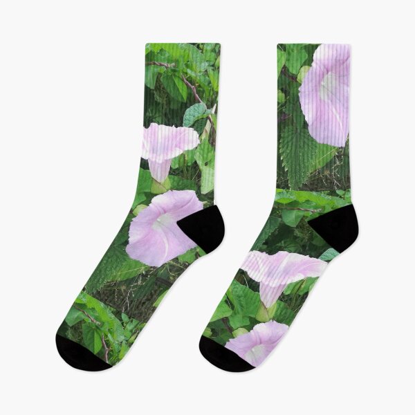 Item preview, Pale pink wild bindweed blossoms photograph  designed and sold by esvb.