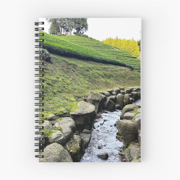 Item preview, Boseong Tea Fields Stream | South Korea Nature Photography designed and sold by YemmyZImages.