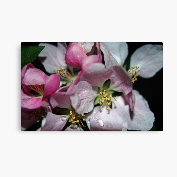 Item preview, Apple Blossom - Micro designed and sold by LudaNayvelt.