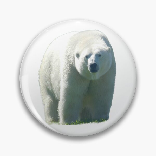 Item preview, Polar Ponder designed and sold by Photomainia.