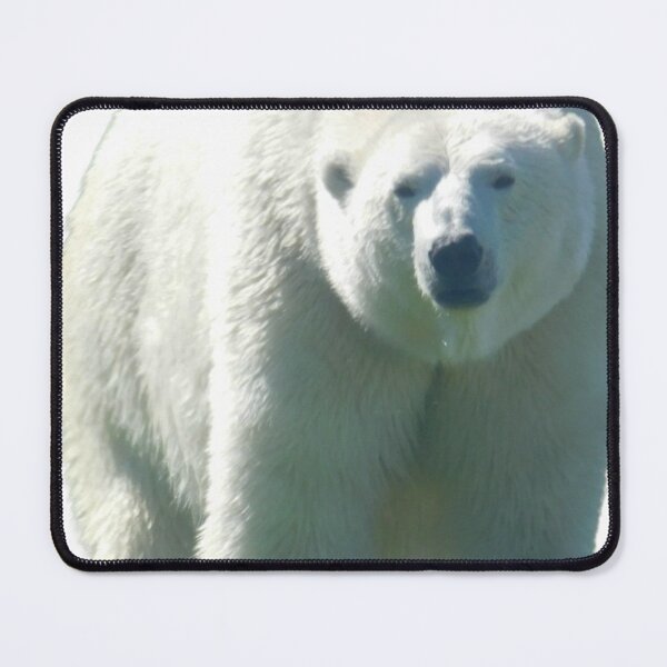 Item preview, Polar Ponder designed and sold by Photomainia.
