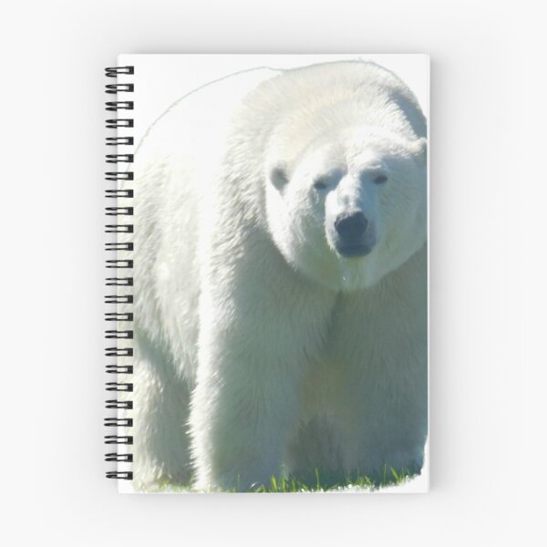 Item preview, Polar Ponder designed and sold by Photomainia.