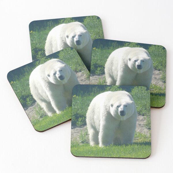 Item preview, Having a Bear Staring Contest designed and sold by Photomainia.