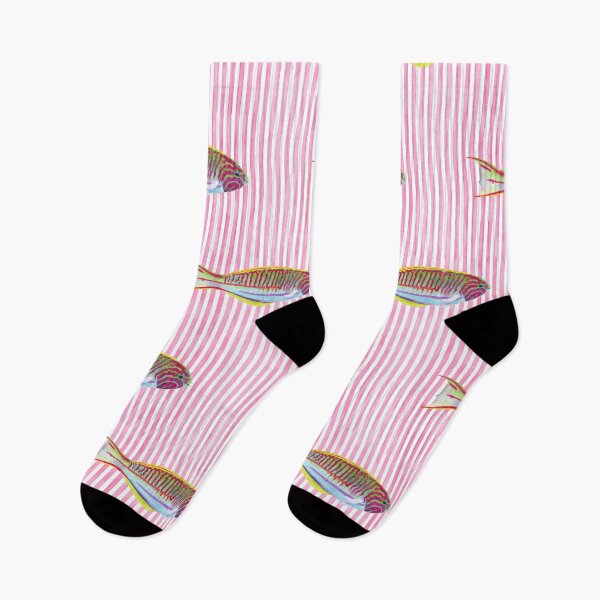 Item preview, Klunzinger's Wrasse + Stripes Pattern designed and sold by Rachel Fritz Watson.