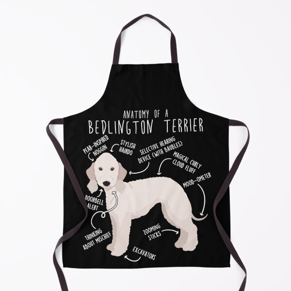 Item preview, Sandy Bedlington Terrier Anatomy designed and sold by Clara Hollins.