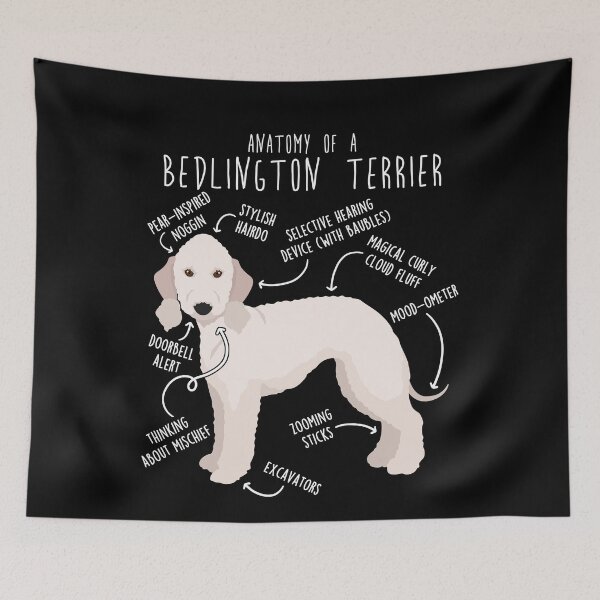 Item preview, Sandy Bedlington Terrier Anatomy designed and sold by Clara Hollins.