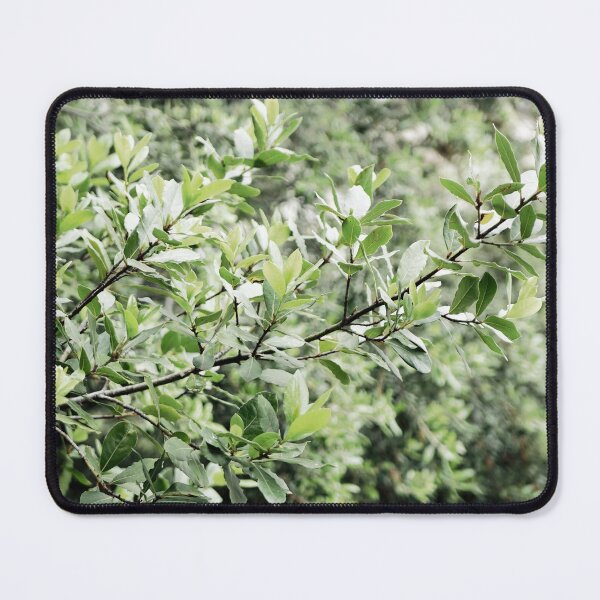 Item preview, Monserrat nature designed and sold by rrroza.
