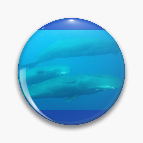 Item preview, Sperm whale Trio 2024 designed and sold by Whale & Dolphin Wisdom Retreats.