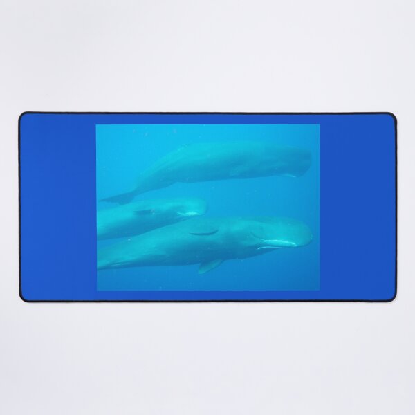 Item preview, Sperm whale Trio 2024 designed and sold by Whale & Dolphin Wisdom Retreats.
