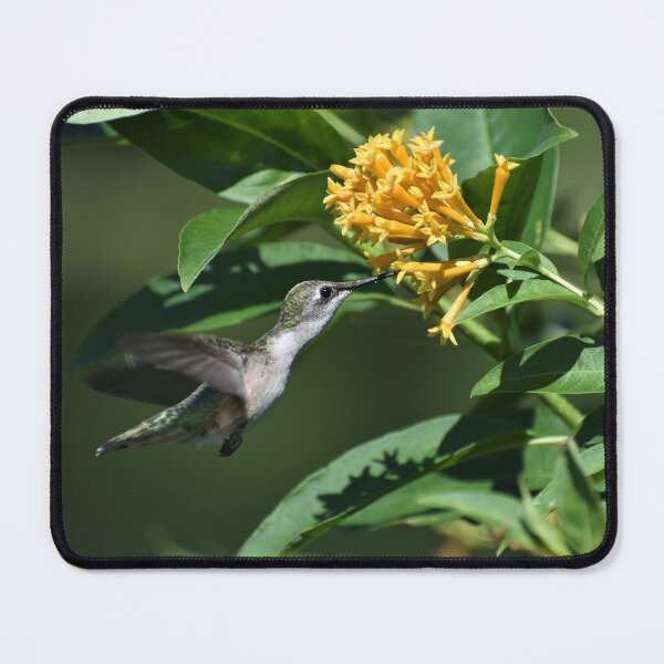 Item preview, Hummingbird at Feeding Time designed and sold by mmcpix.