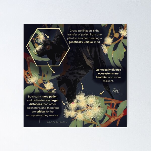 Item preview, The importance of flying foxes as pollinators designed and sold by KarlyFMixedArts.