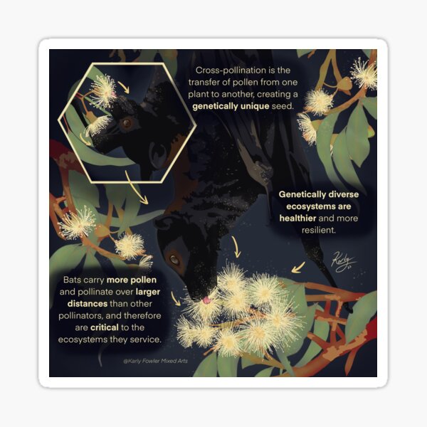 Item preview, The importance of flying foxes as pollinators designed and sold by KarlyFMixedArts.