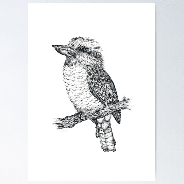 Item preview, Cute Australian Kookaburra designed and sold by Sam Morton - Heart Art.