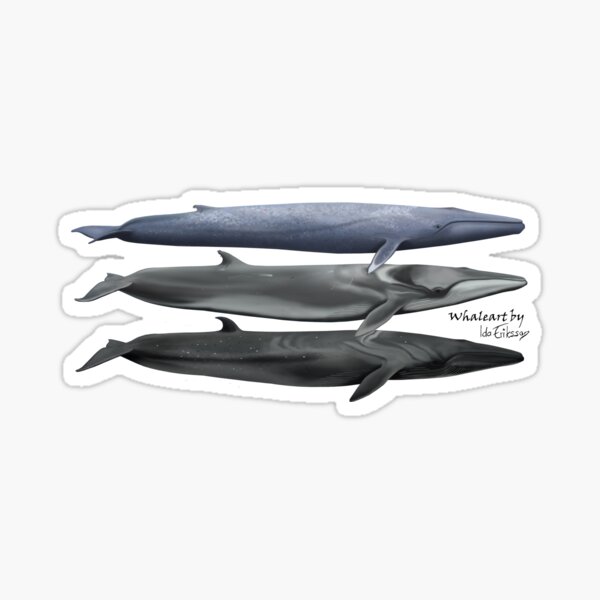 Item preview, The three greatest  designed and sold by Ida Eriksson.