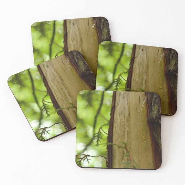 Item preview, Cedar Sap designed and sold by kry.ative.