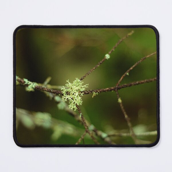 Item preview, Reindeer Moss designed and sold by kry.ative.