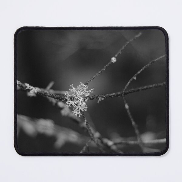 Item preview, Reindeer Moss (Black and White) designed and sold by kry.ative.