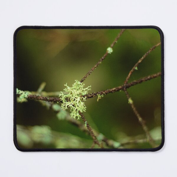 Item preview, Reindeer Moss designed and sold by kry.ative.